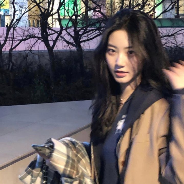 温驯之夜